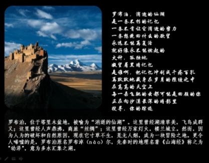 救援受困的火鸡